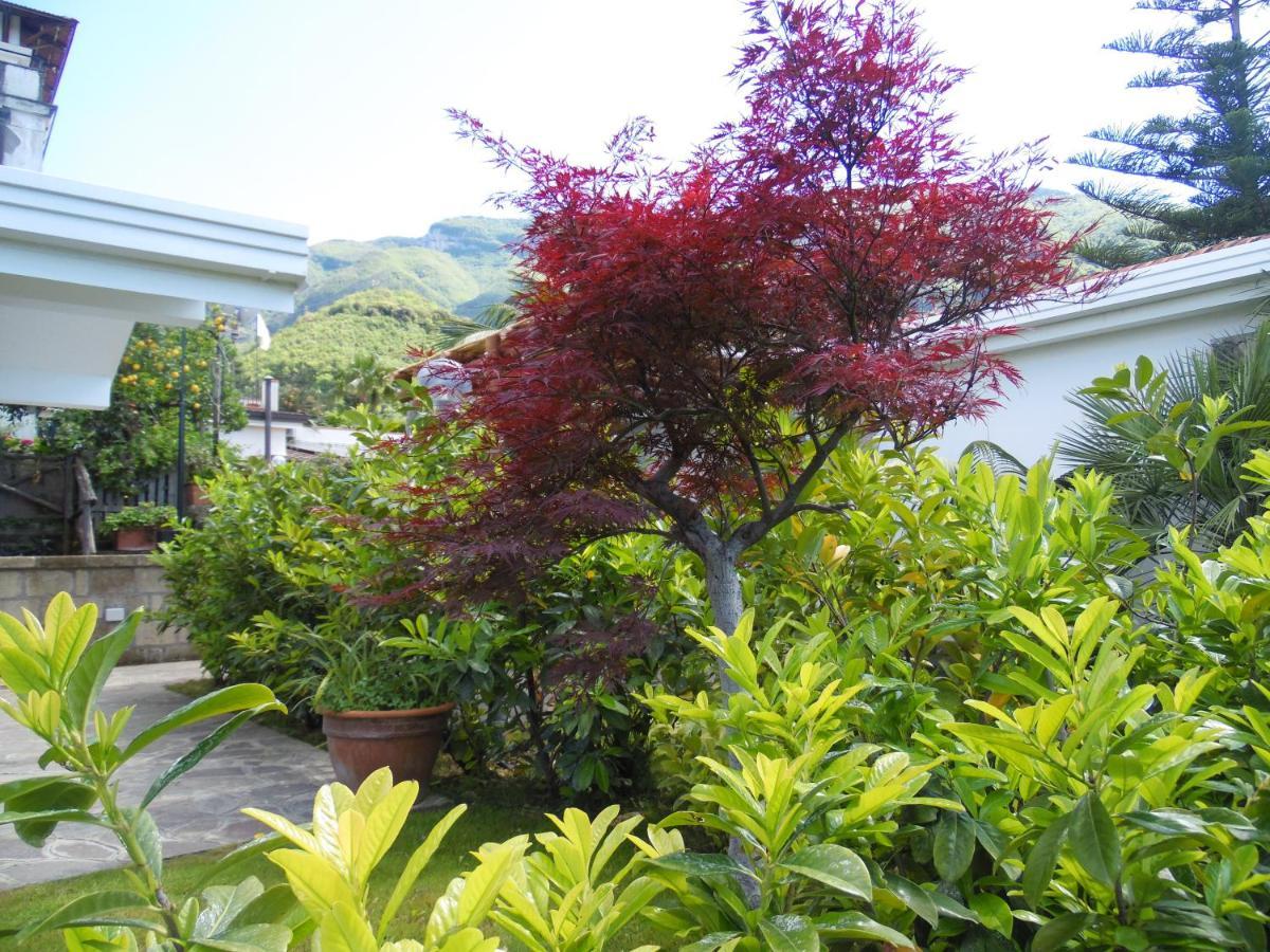Villa Bianca Castellammare di Stabia Exteriér fotografie